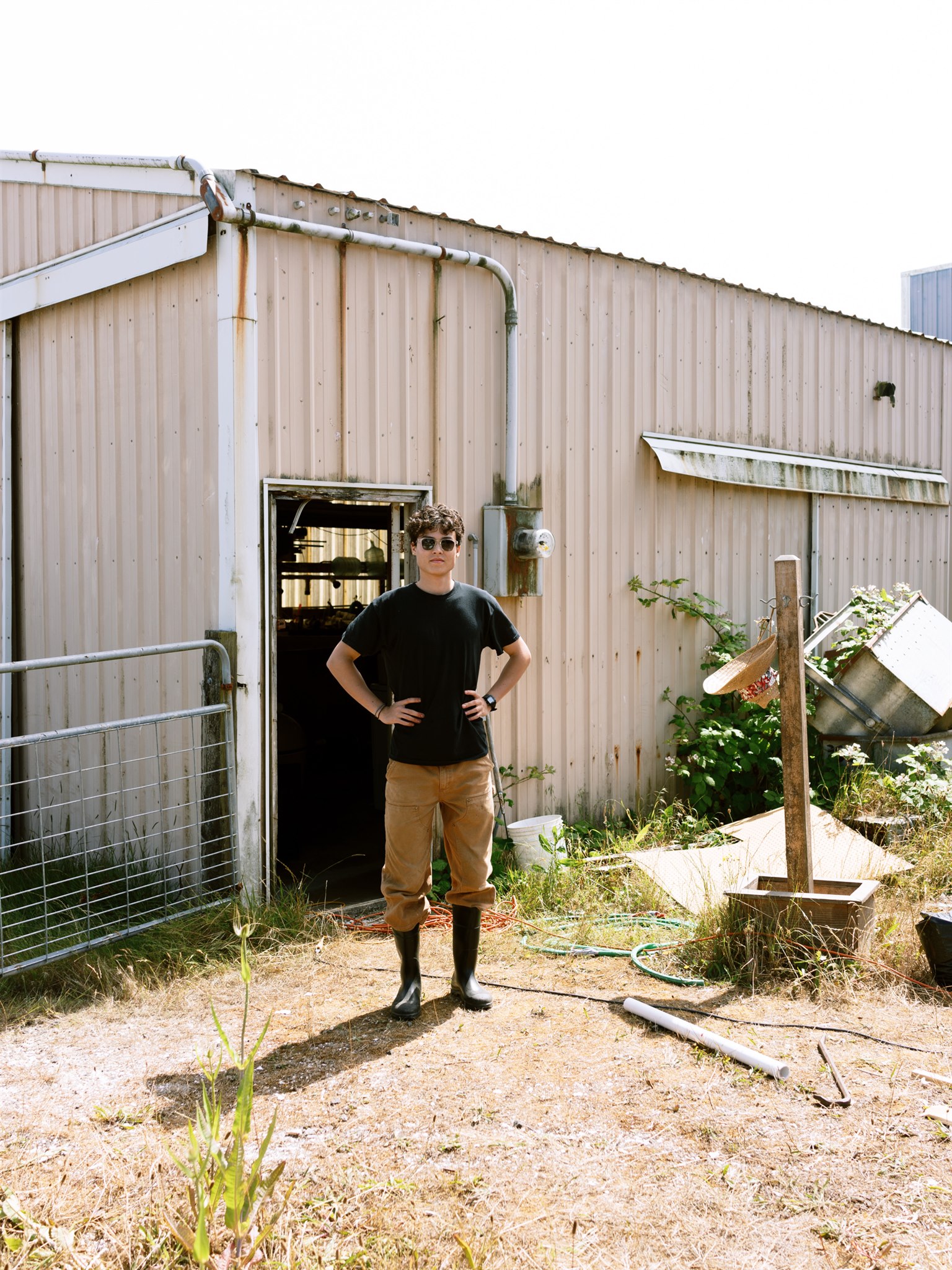 Oyster hatchery work
